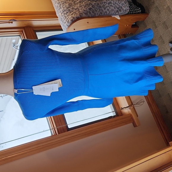 EVER NEW CLEO LONG SLEEVE MINI KNIT DRESS -SIZE 4- BLUE PIGMENT NWT - Picture 7 of 7